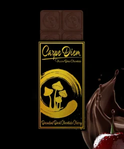 Carpe Diem Chocolate Bar