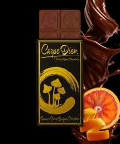Carpe Diem Mushroom Chocolate bar
