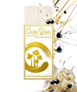 Carpe Diem Chocolate