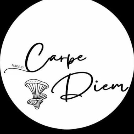 carpe diem chocolate